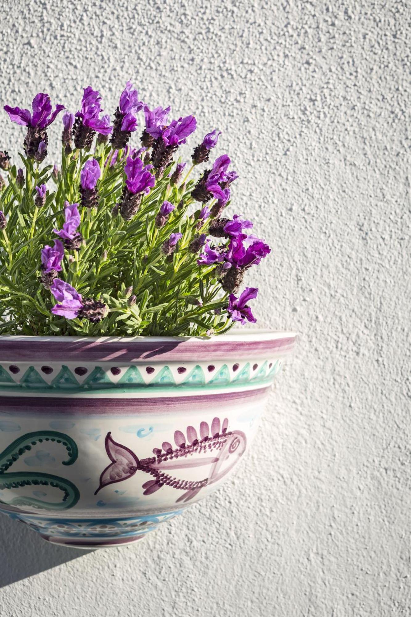 Boutique Hotel Solaz Porto Rafael Εξωτερικό φωτογραφία